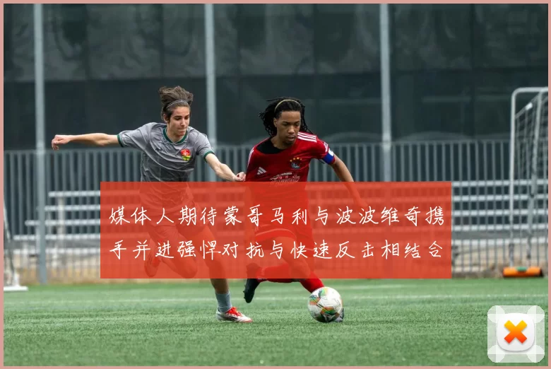 媒体人期待蒙哥马利与波波维奇携手并进强悍对抗与快速反击相结合
