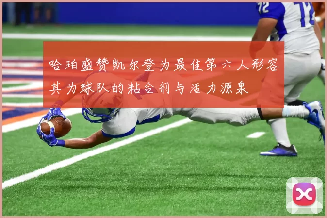 哈珀盛赞凯尔登为最佳第六人形容其为球队的粘合剂与活力源泉