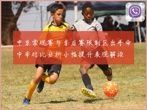 申京常规赛与季后赛限制区出手命中率对比分析小幅提升表现解读