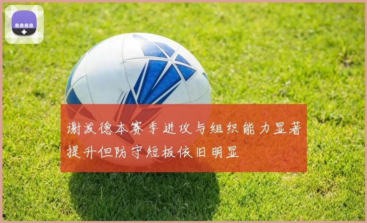 谢泼德本赛季进攻与组织能力显著提升但防守短板依旧明显