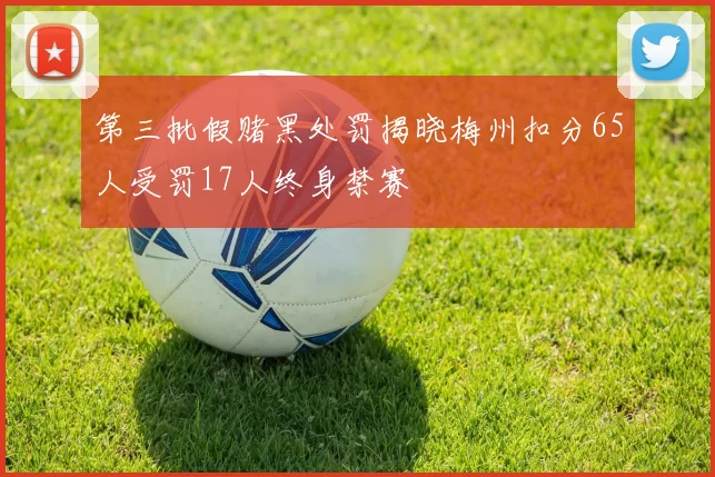 第三批假赌黑处罚揭晓梅州扣分65人受罚17人终身禁赛